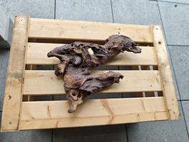 Aquarium Wurzel 33x23x8