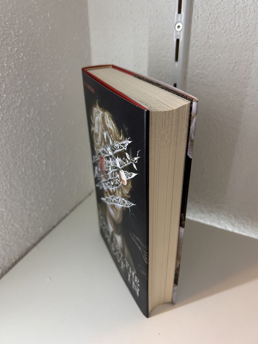 Libri: Dont let the Forest in - CG Drews – Nuovo (secondo la descrizione) da Wila venduto da lyn_t5f2 2
