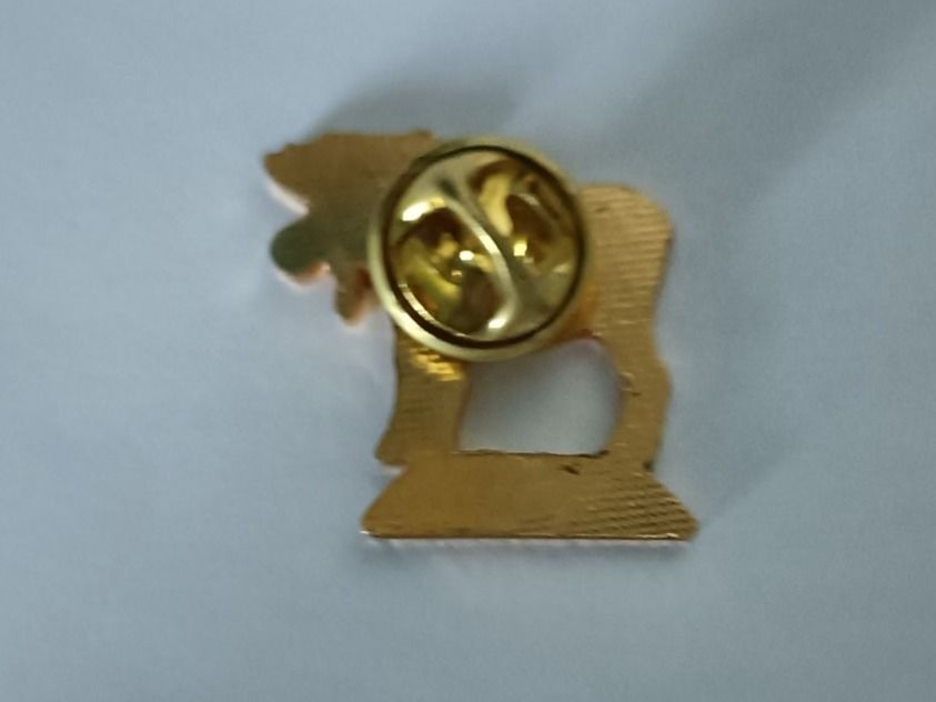 Placchette & Badge: Pin Canada Elch - Box 14 – Usato da Köniz venduto da Pinscollect 1