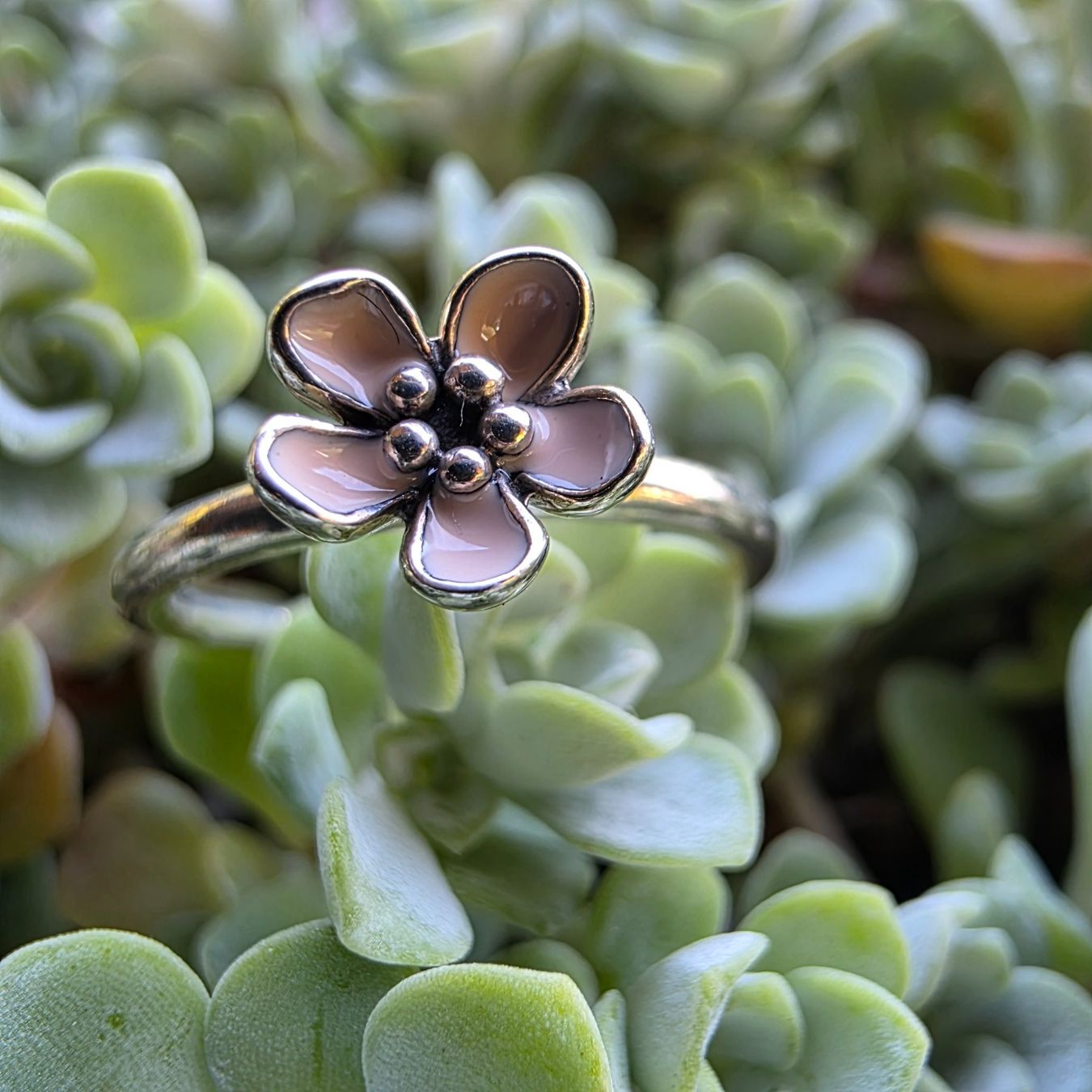 Pandora Anelli: 🐸 PANDORA 925 SILBER RING 54 – Nuovo (secondo la descrizione) da Môtier (Vully) venduto da Frogs 6