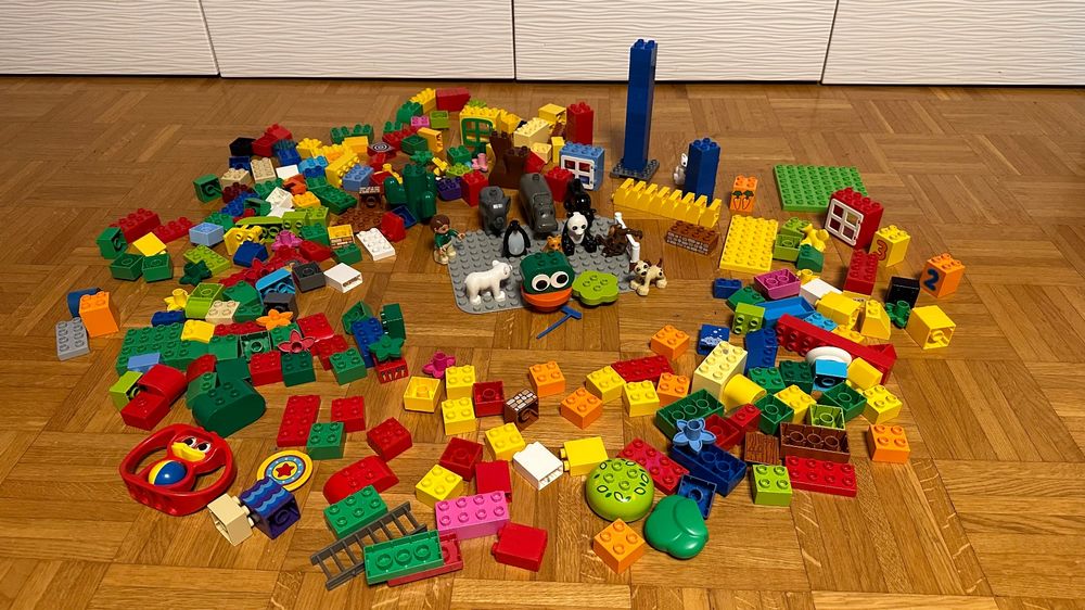 Duplo Set / Zoo Tiere / Viele Steine | Kaufen auf Ricardo