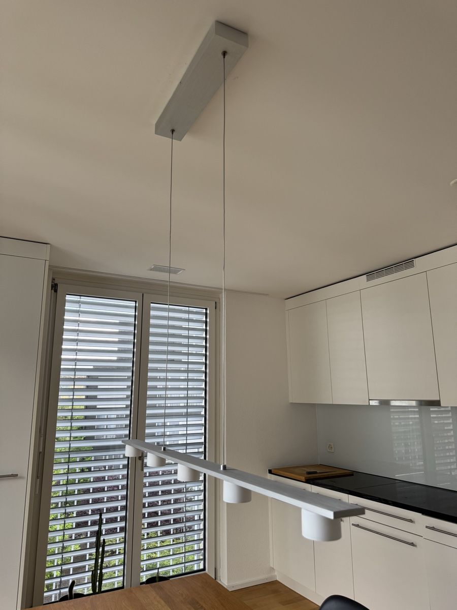 Pfister Lampadari & plafoniere: Pendellampe – Usato da Glattpark(Opfikon) venduto da MadMarc17 1