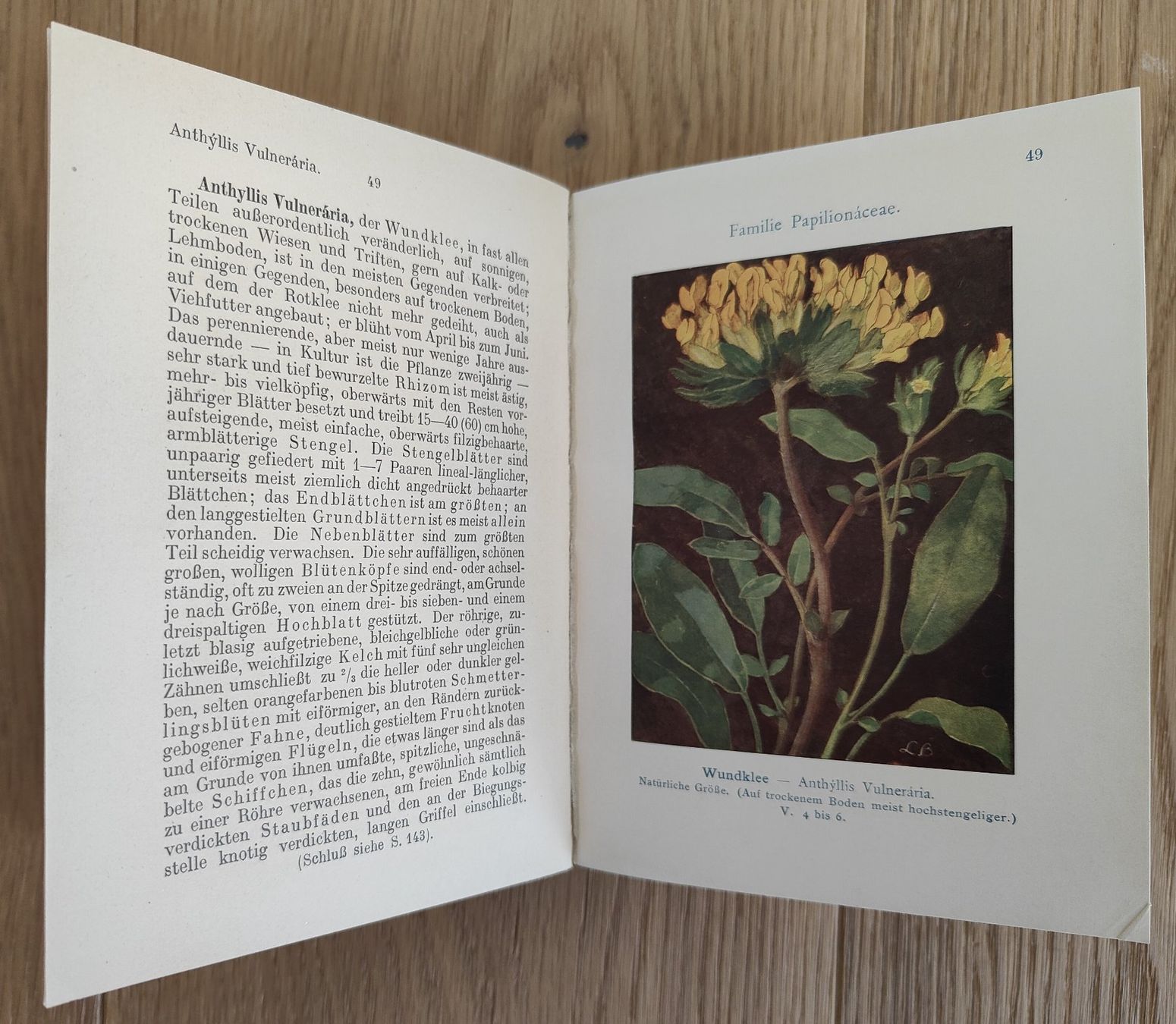 Libri: Wiesenplanzen – Usato da Sigriswil venduto da Ricola1977 1
