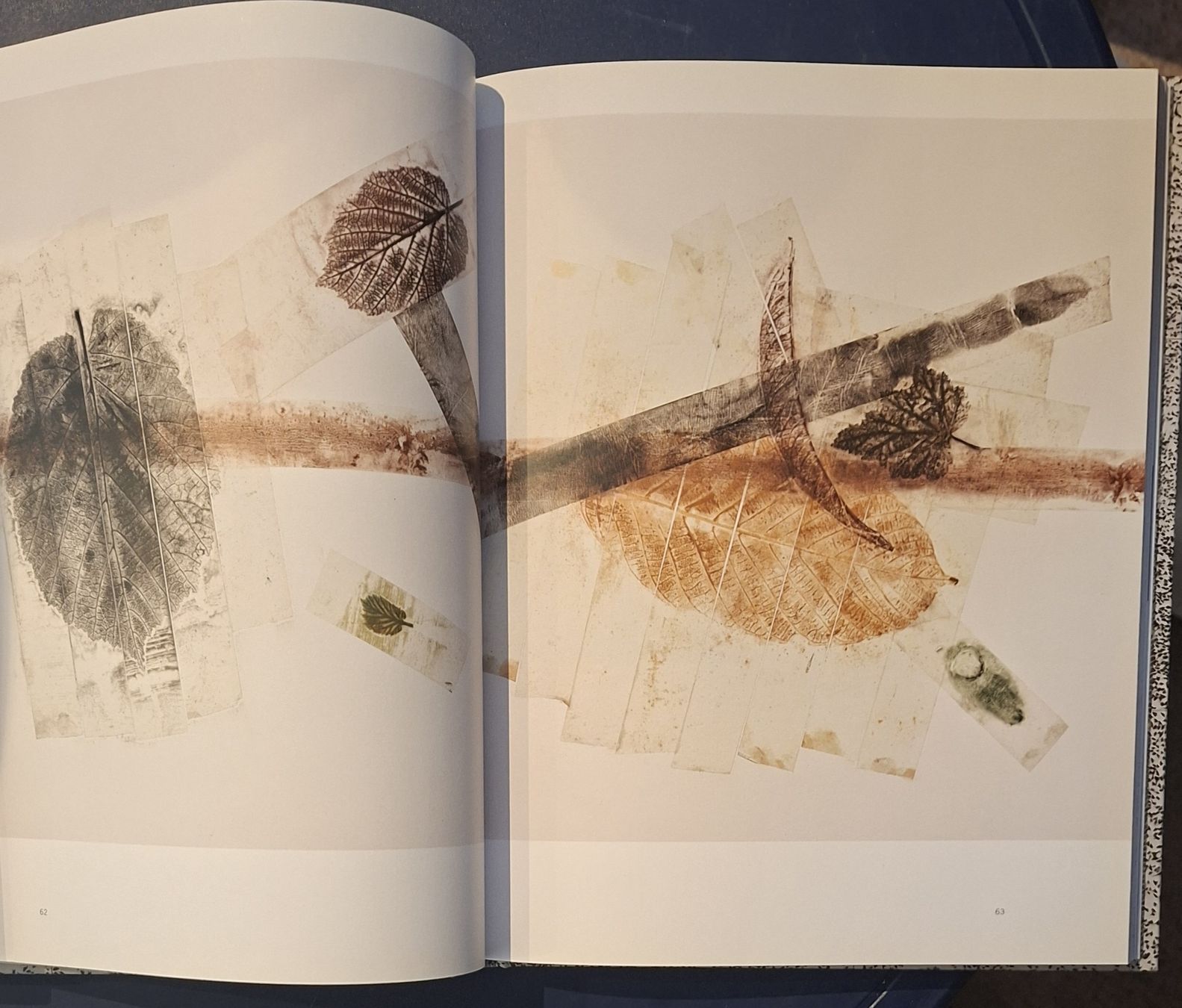 Bücher: Giuseppe Penone Buch Actes Sud Musee de Grenoble Buch – Neu (gemäss Beschreibung) aus Niederglatt ZH von Siegfried67 6