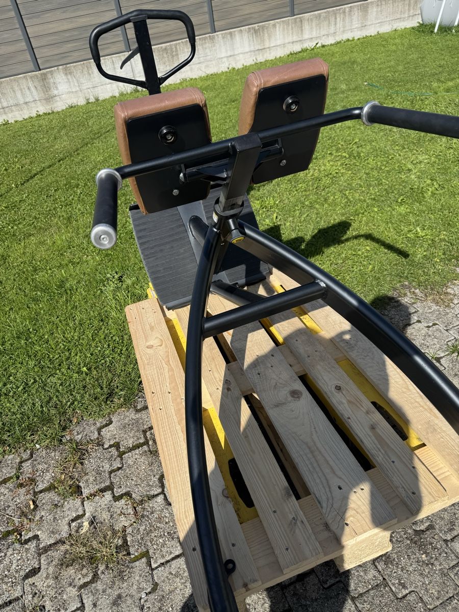 Cybex Hometrainer: Cybex  Back Hyperextension  – Usato da St. Margrethen SG venduto da taf_alb 8
