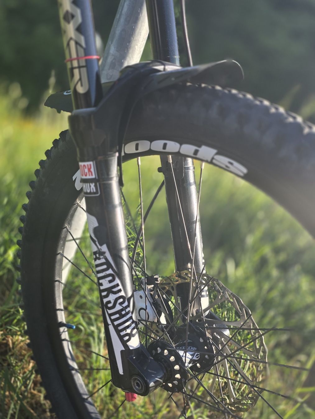 Giant Biciclette: Giant Reigen Downhill – Usato da Wetzikon ZH venduto da Sina1998 1