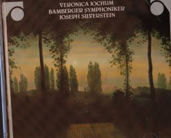 Veronica Jochum/Bamberger Symphoniker Joseph Silverstein –