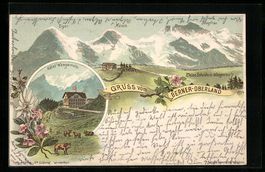 Litho Kleine Scheidegg-Wengernalp, Hotel