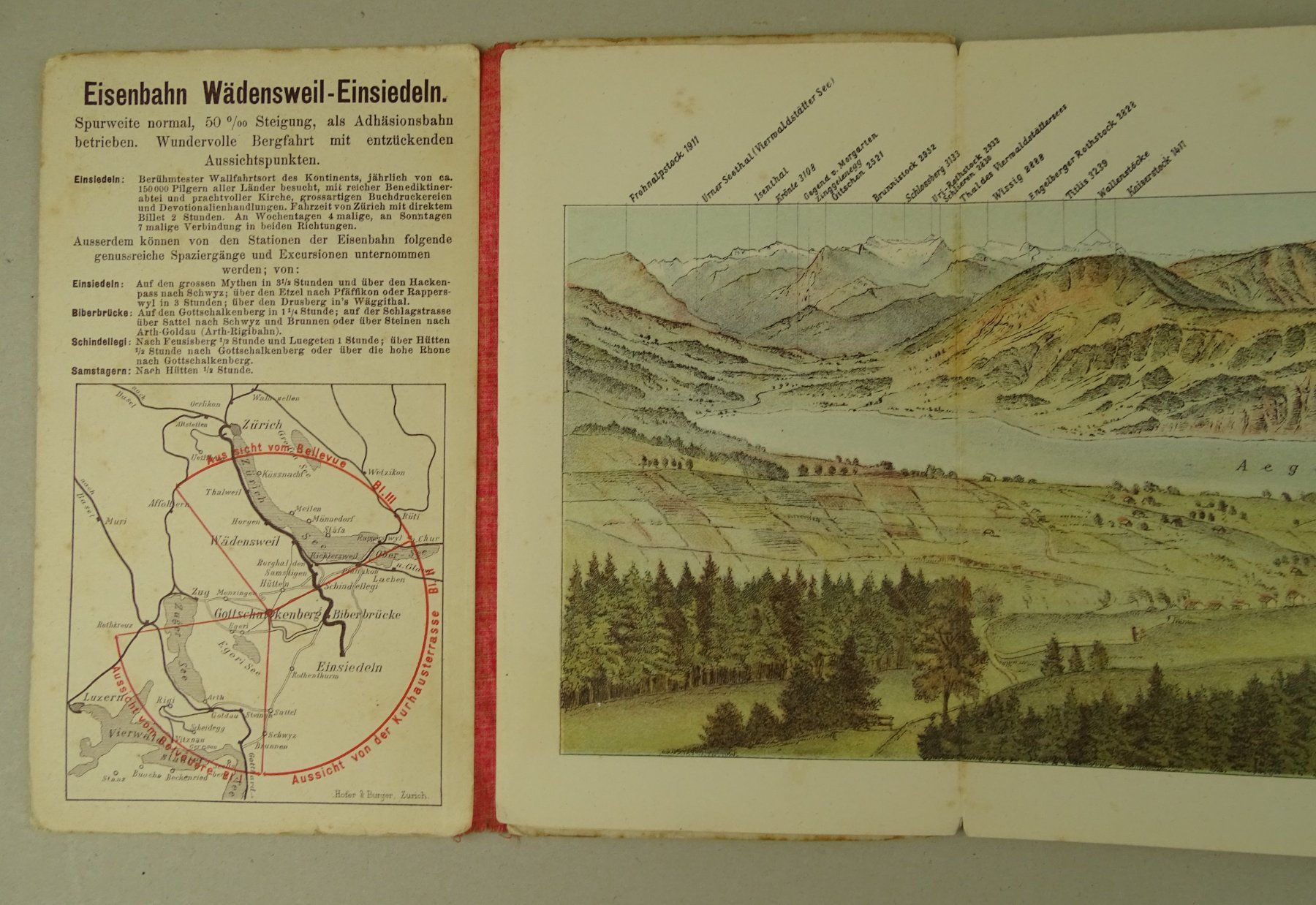 Libri: PANORAMA VOM GOTTSCHALKENBERG 1886 – Usato da Grüningen venduto da Kartensammler 3