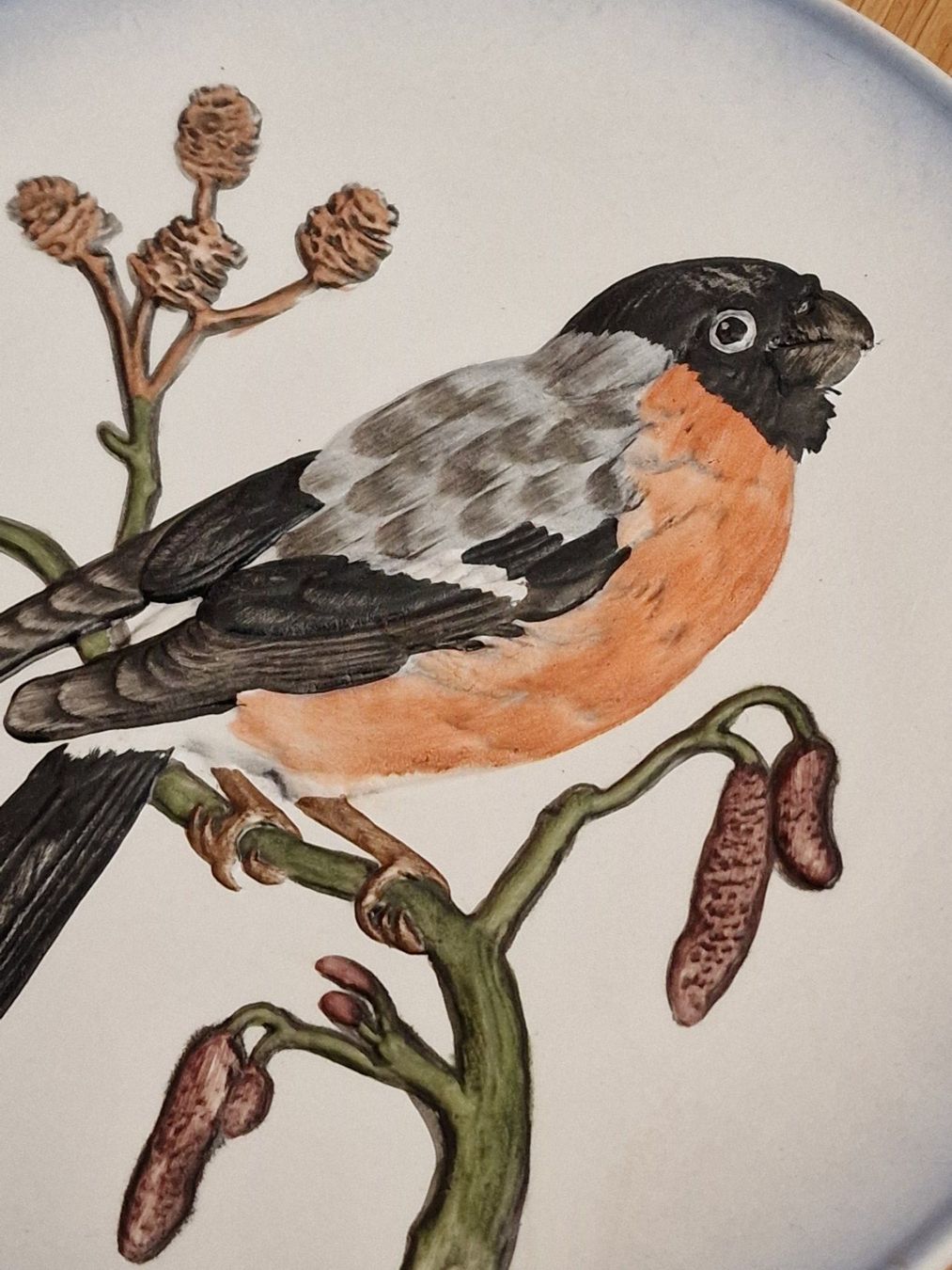 Piatti: Wunderschöner Vogel Teller, Deko Teller, Wandteller Gimpel – Usato da Zürich venduto da Allerlei_Shop 2