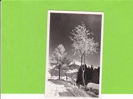 Leysin