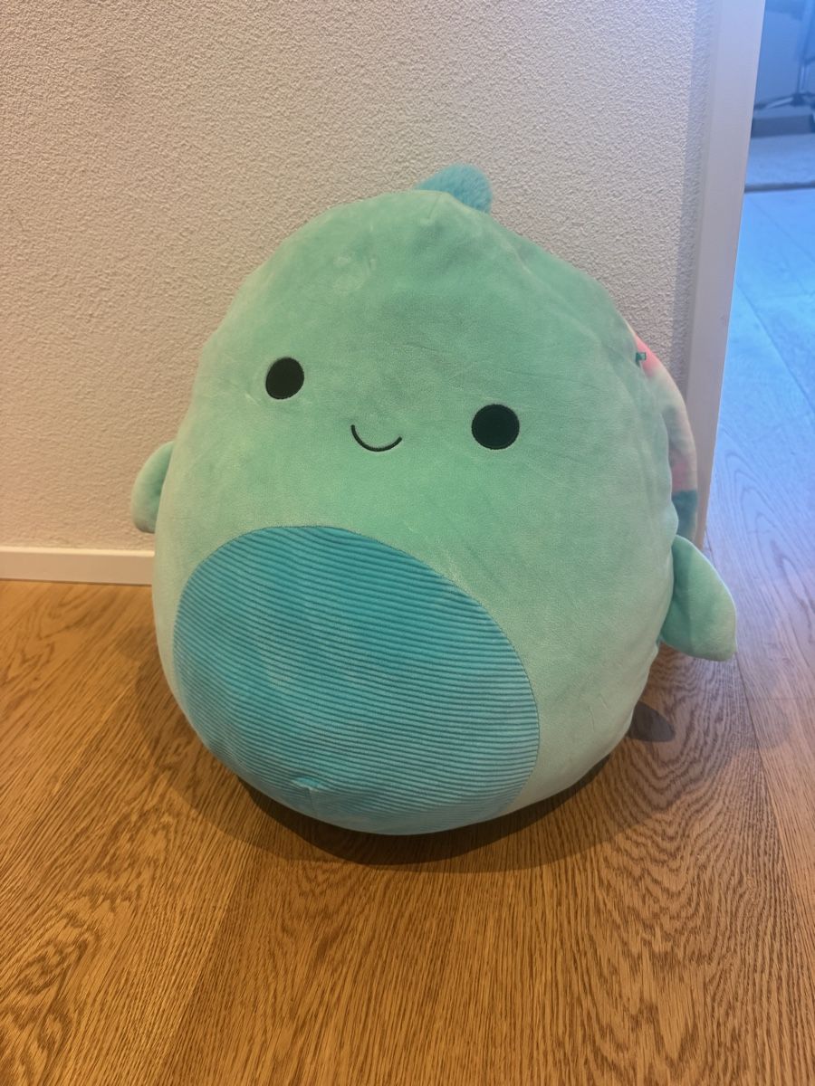 Squishmallows Jouets: Original Squishmallow XXL  – D'occasion à Reinach AG par MineD 3