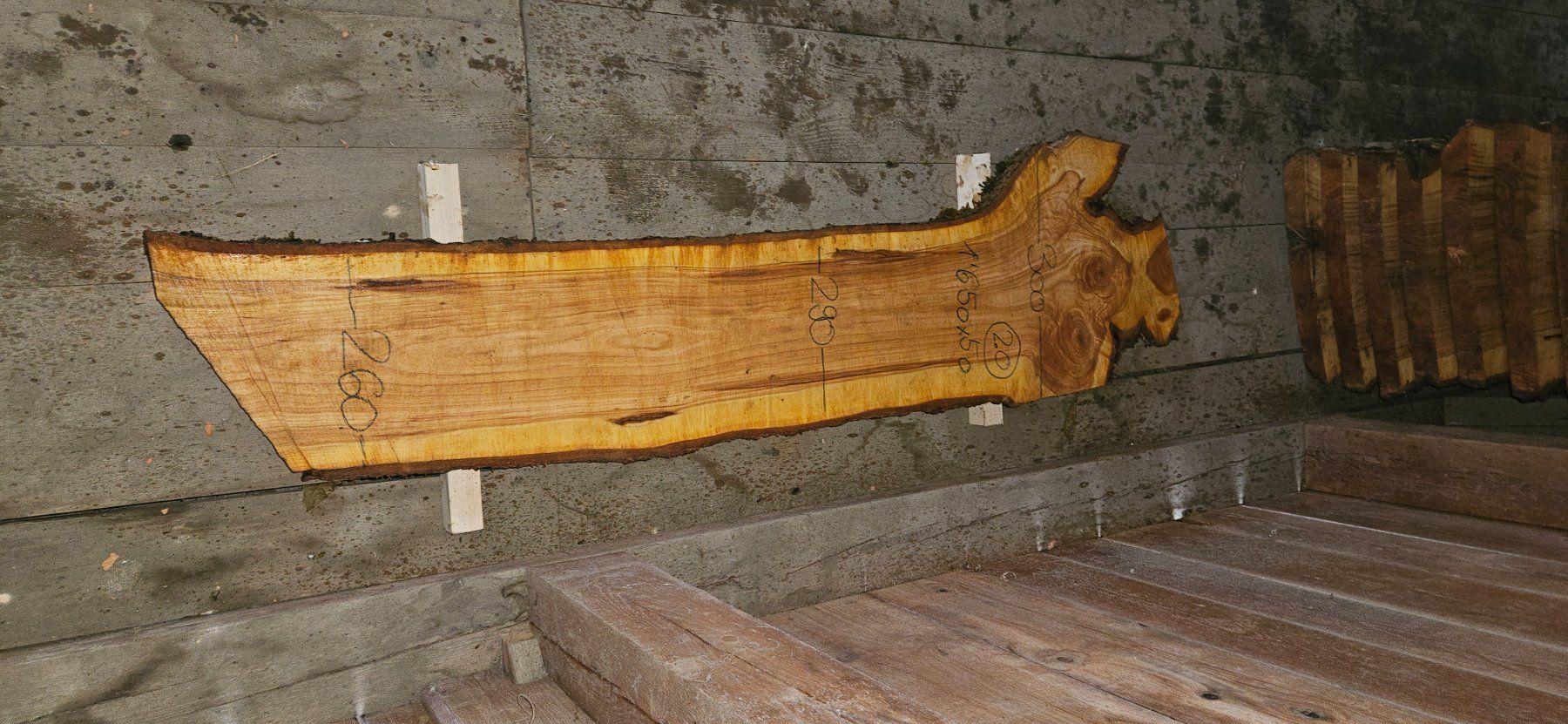 Articoli in legno: Kirschbaumbretter – Nuovo (secondo la descrizione) da Vielbringen Worb venduto da lua_cm7v