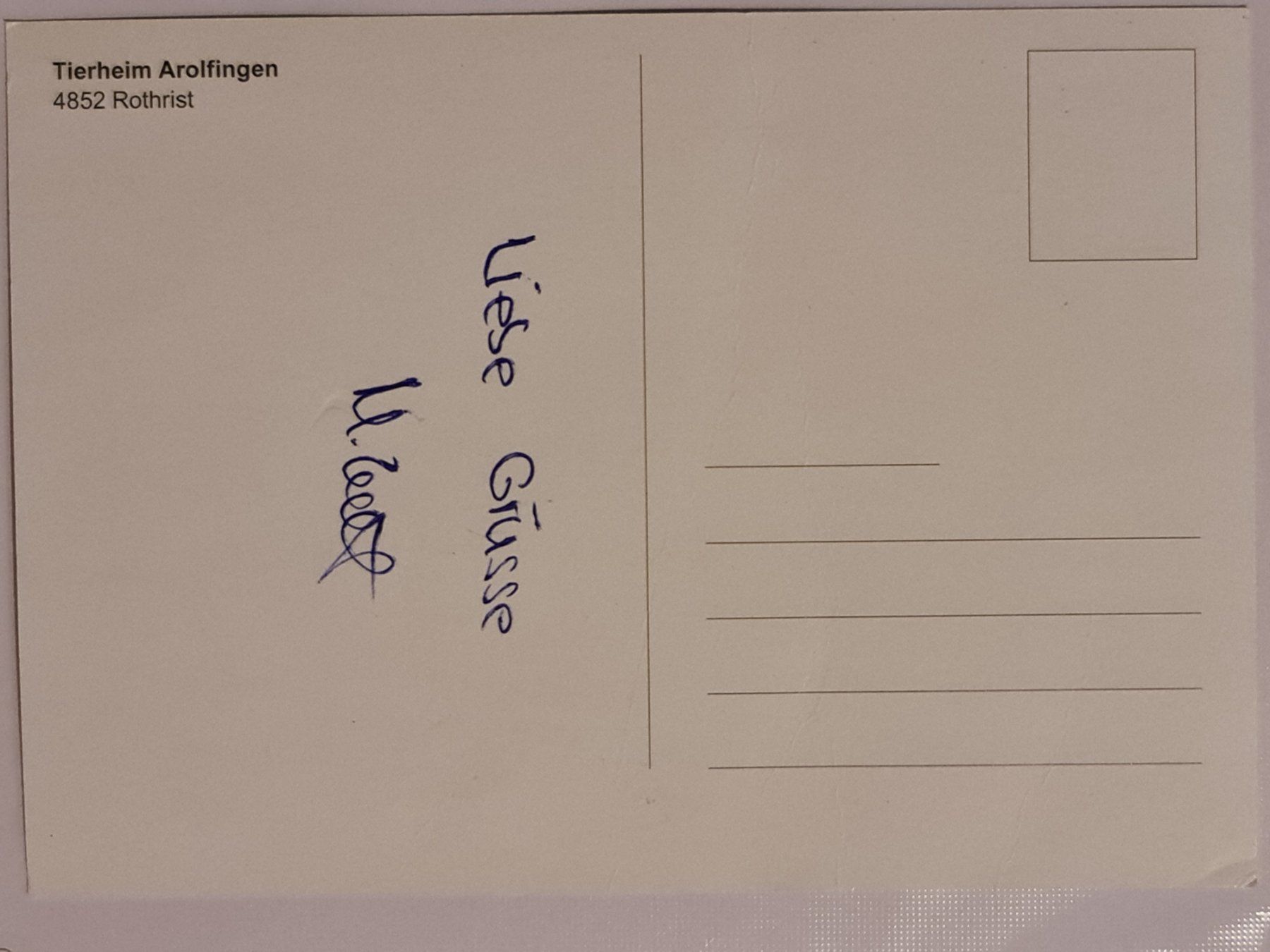 Cartoline postali: Ansichtskarte Hund Tierheim Arolfingen – Nuovo (secondo la descrizione) da Dintikon venduto da Vexi 1