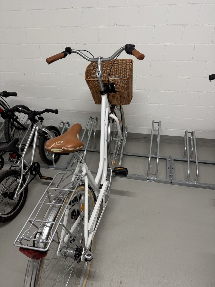 Biciclette: City Bike – Nuovo (secondo la descrizione) da Buchs ZH venduto da Skovi73