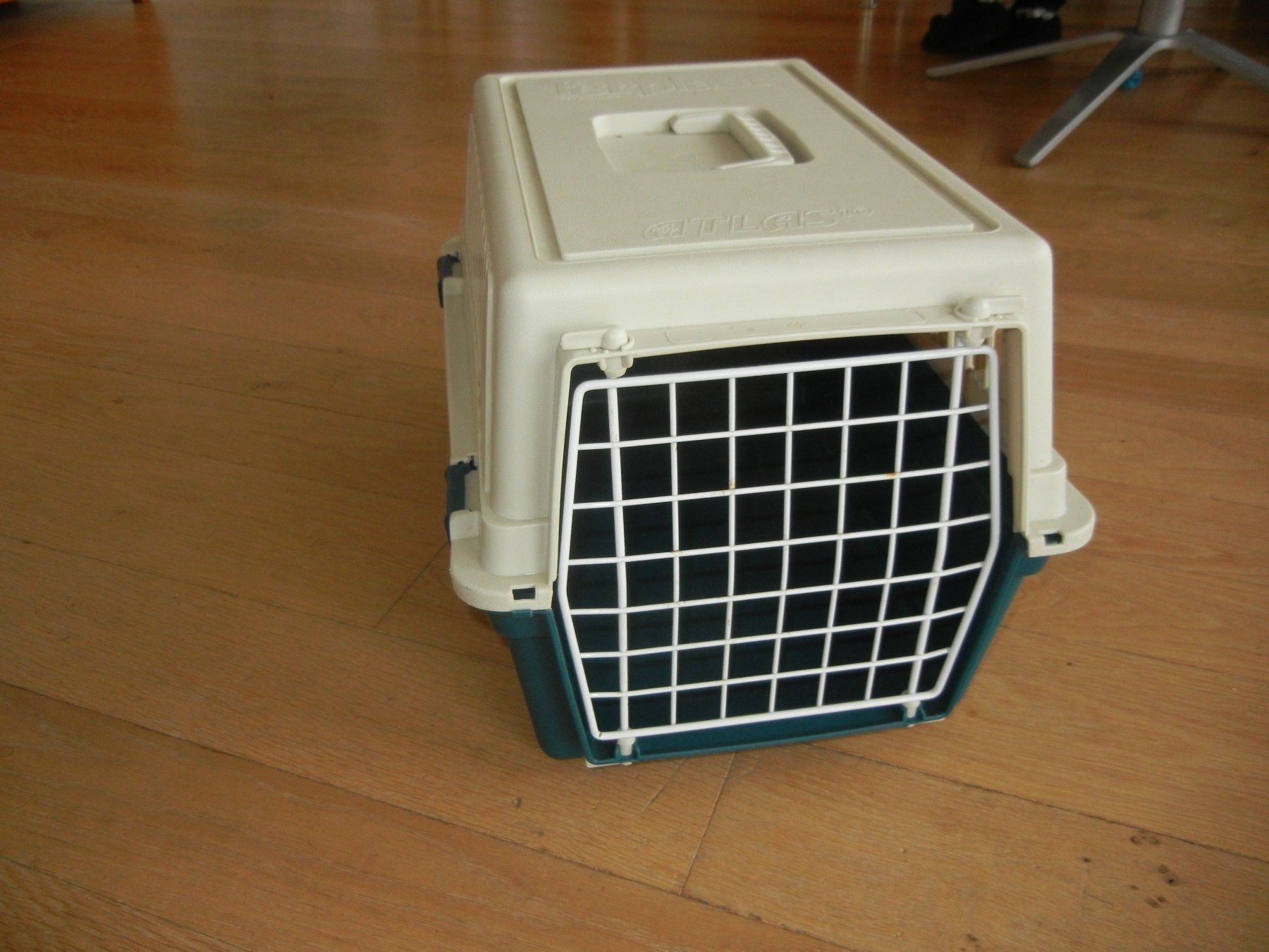 Gabbie, trasporto & Sicurezza: Transportbox für Katzen – Usato da Langendorf venduto da sonntag10 3