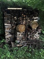 Cheminee Holz