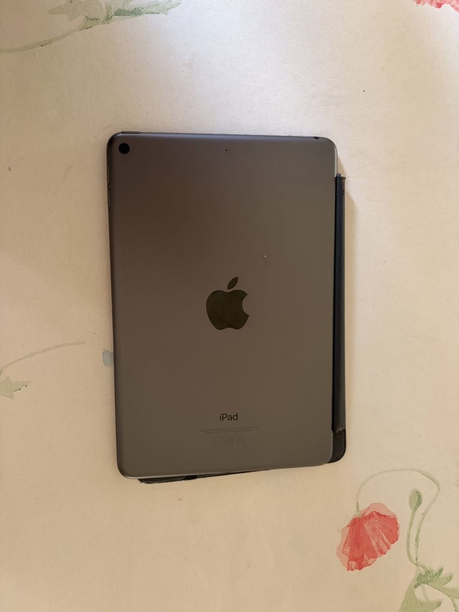 Apple Tablet PC: Apple iPad mini 5. Gen Grau mit Hülle – Usato da Dürnten venduto da binop 7