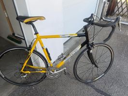Rennrad Wheeler 7100 Roadracing gelb schwarz