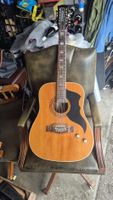 EKO Elektro und Akustisch Gitarre
