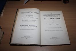 Die Neurologie des Auges: Ein Handbuch für Nerven- und Augen