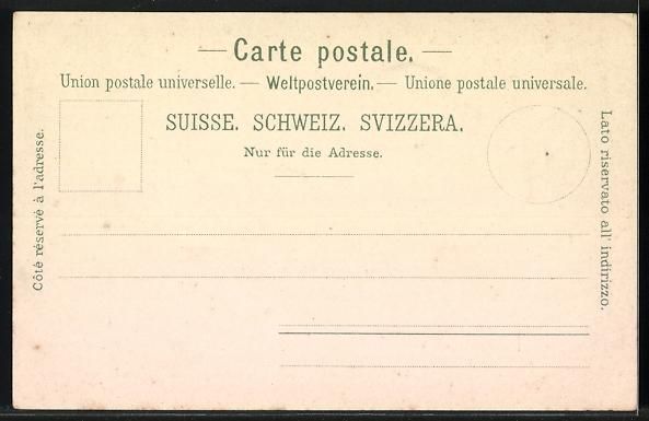 Cartoline postali: Litho Staubbach, Blick auf den Ort und W – Usato da Berlin venduto da bartko-reher 1