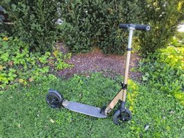 Micro Scooter, Gold Edition
