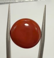 Australian Carnelian 15x15 mm - Round cabochon precision cut