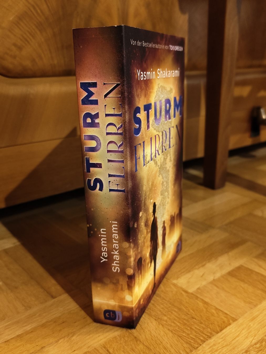 Livres: Sturmflirren mit Farbschnitt – Neuf (Voir description) à Wila par lyn_t5f2 3