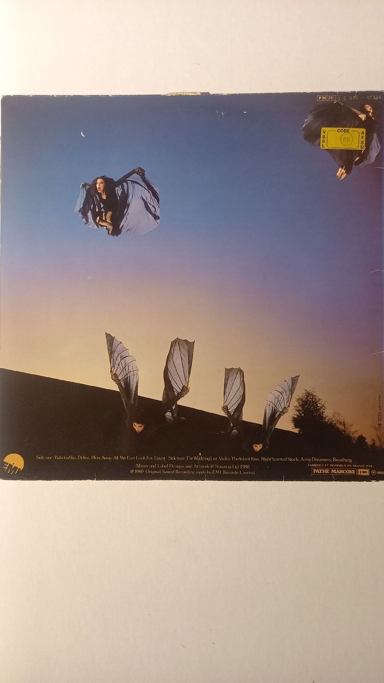 Dischi in vinile: Kate Bush - Never for Ever LP Vinyl Schallplatte – Usato da St. Gallen venduto da Bir_Rer 1