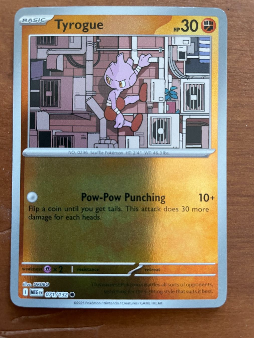 Pokémon Carte collezionabili: Pokemon Tyrogue Reverse (Versand gratis) – Nuovo (secondo la descrizione) da Chur venduto da Angerson
