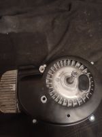 Piaggio Ciao Motor 65ccm