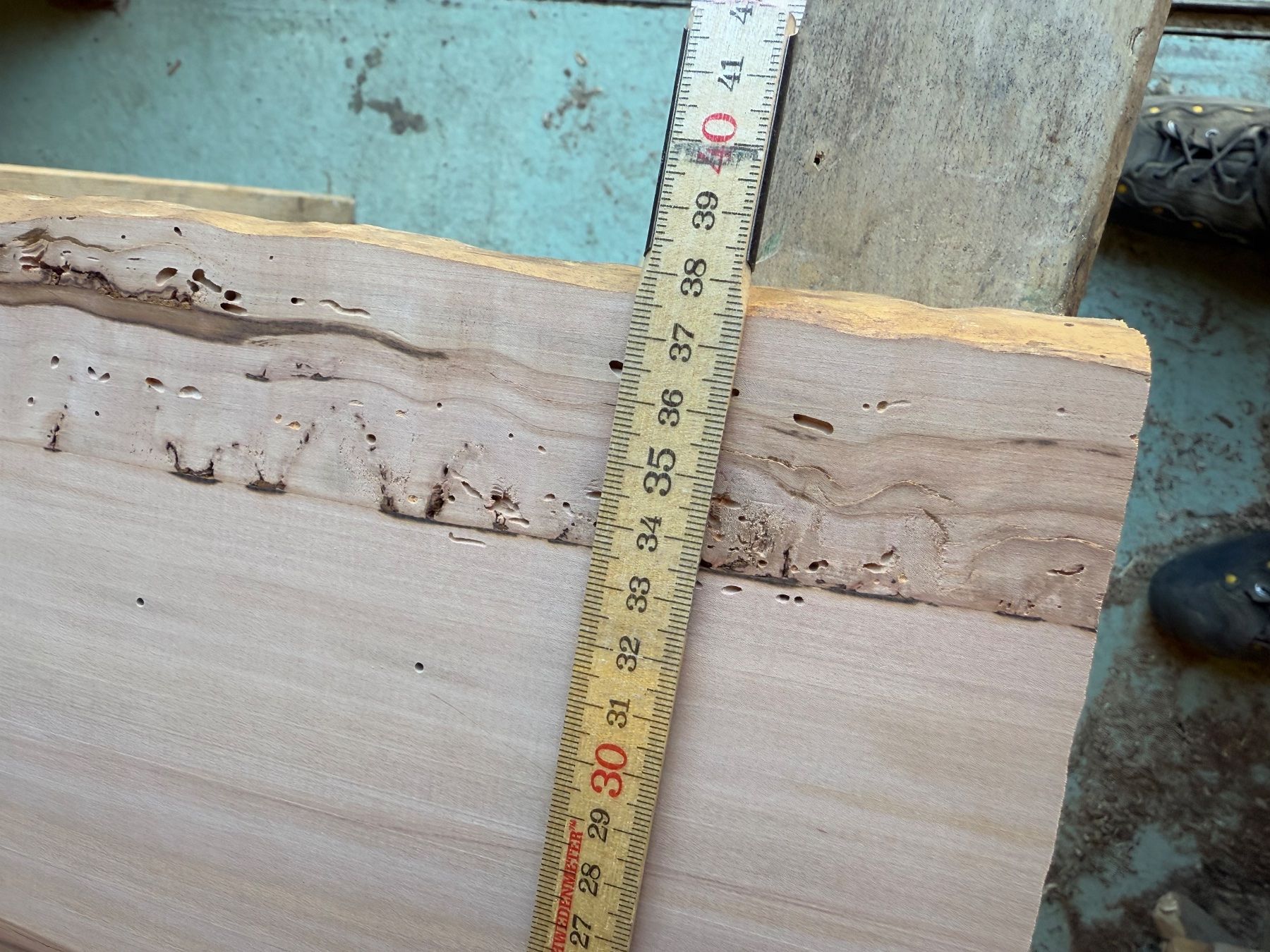Articoli in legno: Apfel Brett wurmig trocken – Nuovo (secondo la descrizione) da Holziken venduto da Timbergrizzly 8