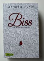 Biss zum Morgengrauen (Twilight Band 1)