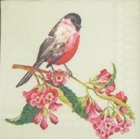Serviette songbird (t172) 2Stk.