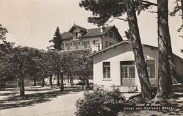 AK - Signal de Bougy - gel. 3.8.1944