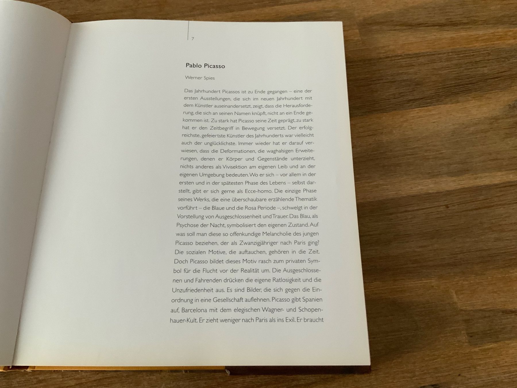 Bücher: Art Focus Picasso – Gebraucht aus Schübelbach von Hecht11. 4