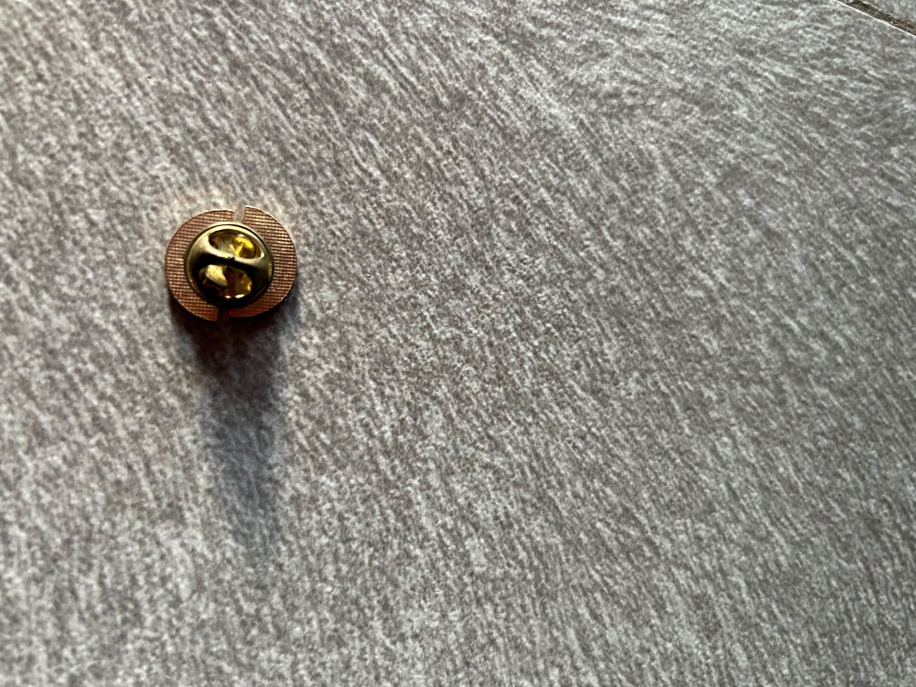 Placchette & Badge: Pin Globus Erde Welt Palladium – Usato da Arbedo venduto da nadia1973 1