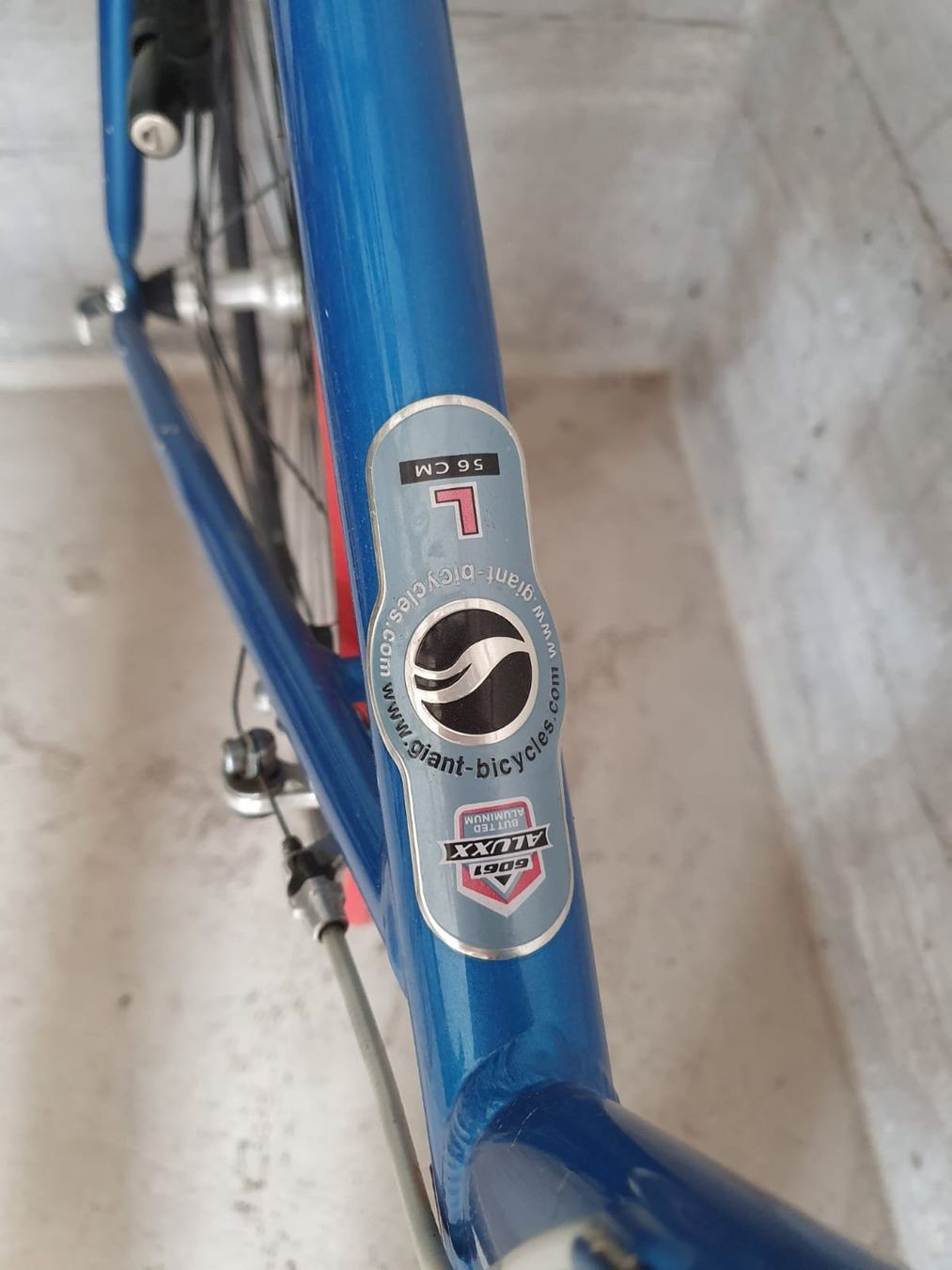 Giant Biciclette: Rennvelo Giant. – Usato da Bischofszell venduto da jbu_zp88 3