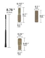 Antenne AM/FM + adaptateurs - 22.3cm