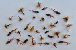 35  Verschiedene  Trockenenfliege und Nymphen