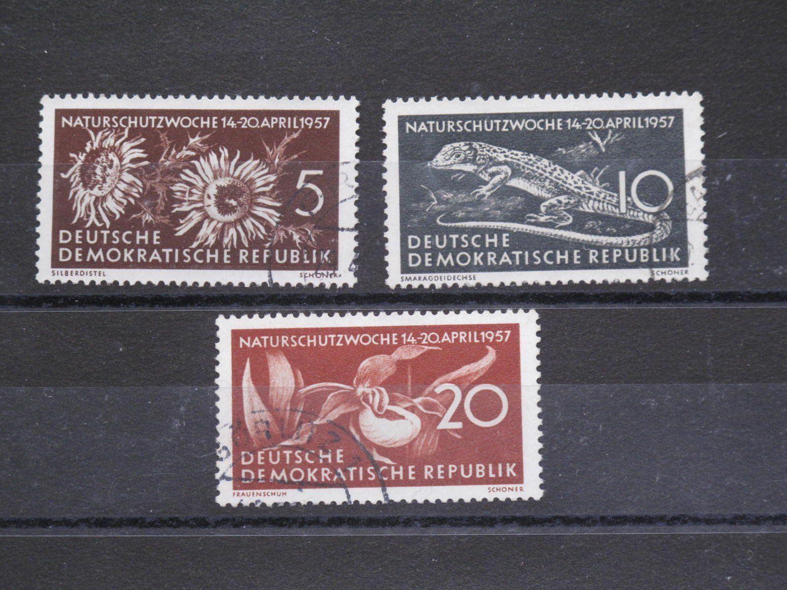 Tutti i francobolli: DDR 1957 Naturschutzwoche gest. – Usato da Wil SG venduto da fva01