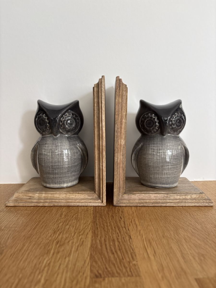 Altro in Decorazioni & Accessori: Eule Buchstützen Owl Book Ends – Nuovo (secondo la descrizione) da Bassersdorf venduto da rek_x2gl 1