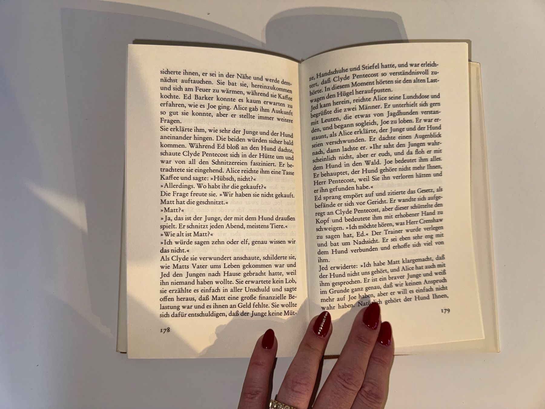 Livres: Buch: Junius Watson, Joe der Setter – D'occasion à Grosswangen par Second_hand_paradise 6