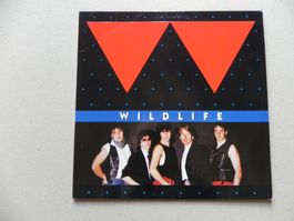 LP Engl. Hardrock AOR Rock Band Wildlife 1983