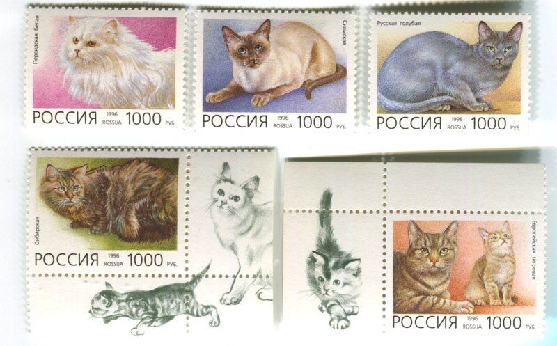 Tous les timbres: Briefmarken "Katzen". Russland. – Neuf avec emballage d'origine à Basel par Butsch5