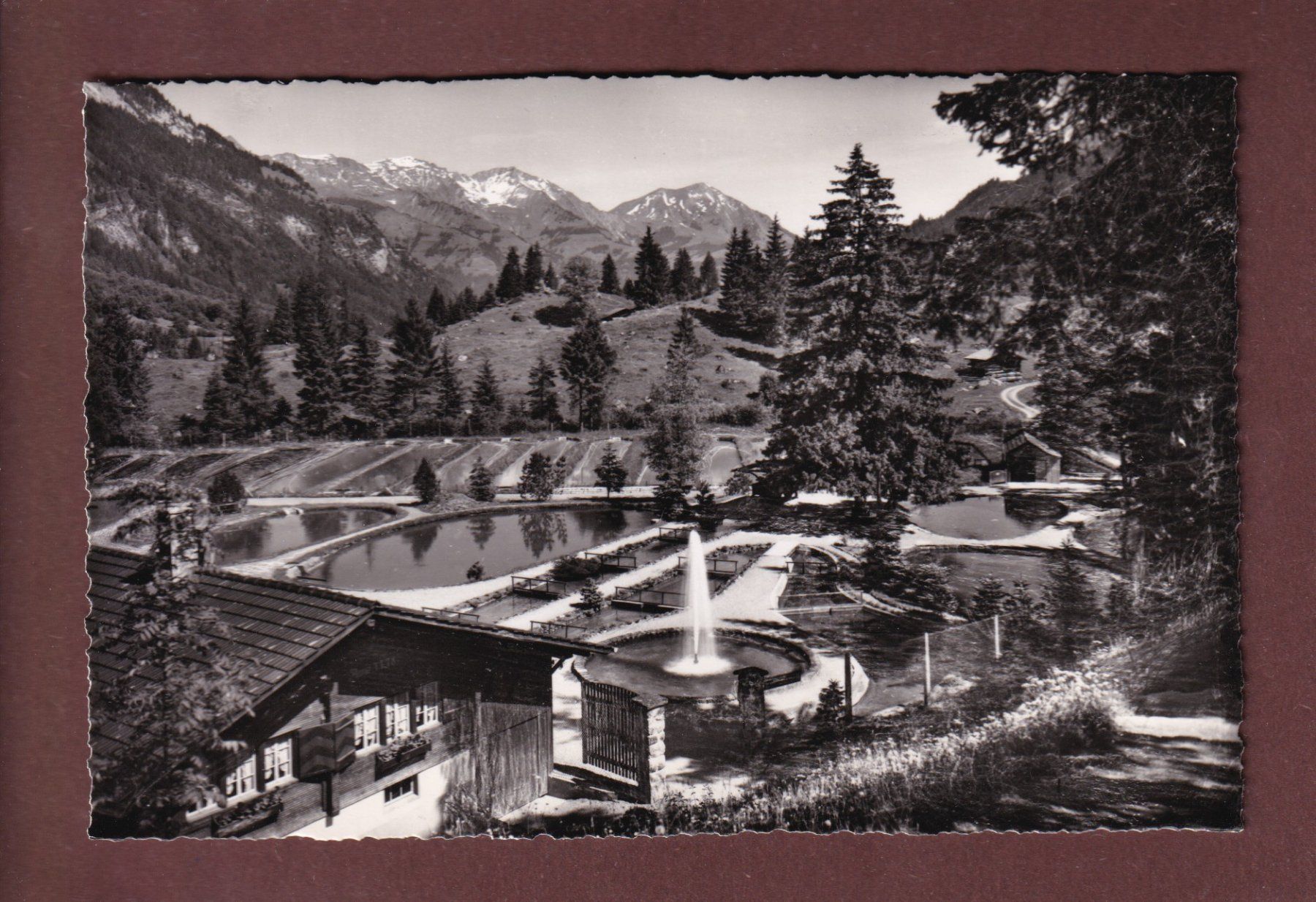 Cartoline postali: Alpine Forellenzucht BLAUSEE - 1953 – Usato da Pully venduto da nicecards-shop