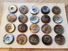 20 grosse Perlmutt Knopf Perlmuttknopf Knöpfe Perlmuttknöpfe