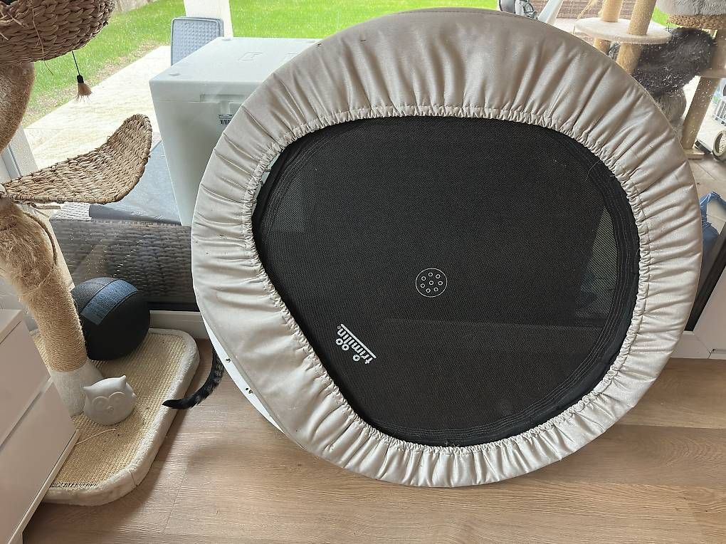 Trampolines: Trampolin – D'occasion à Sirnach par ang_5vct 1