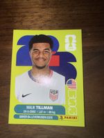 Panini Fifa USA 15